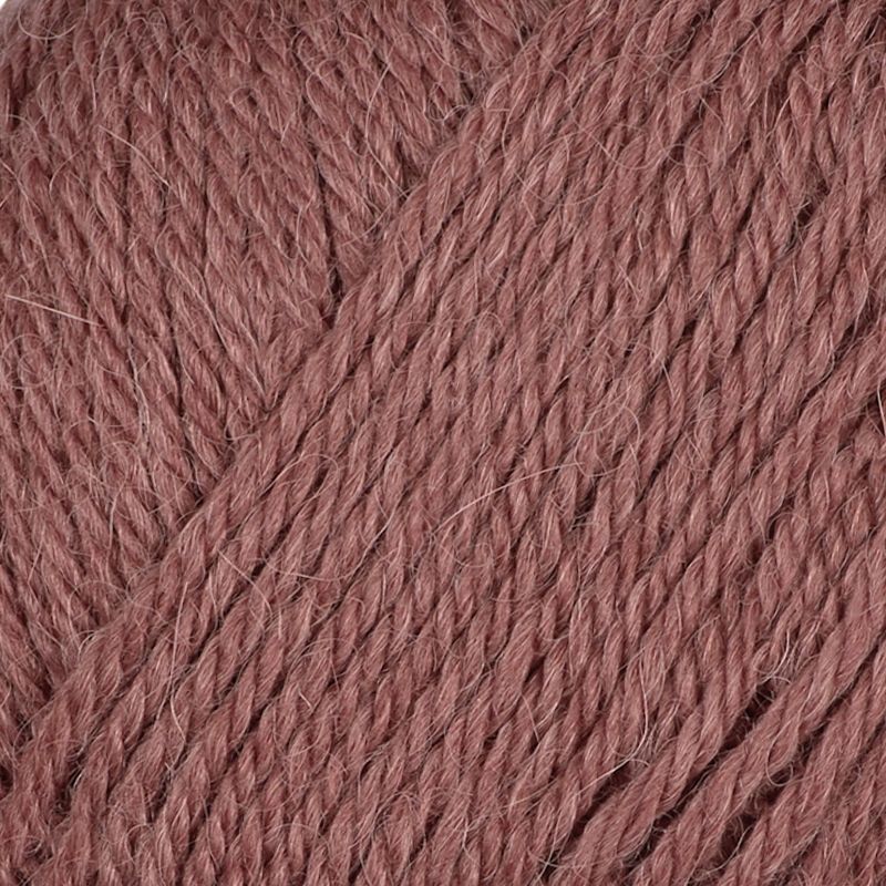 Alpaca Storm
