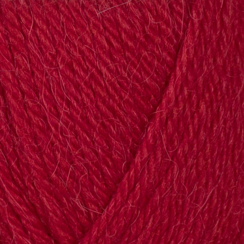 Alpaca Storm
